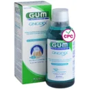 GUM Bain de bouche Gingidex