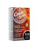 LES 3 CHENES COLOR&SOIN  ROUGE MYRTILLE 11R