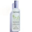 CAUDALIE Eau de Beauté 100 mL