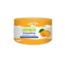 Racine Vita Vaseline d'orange 120gr